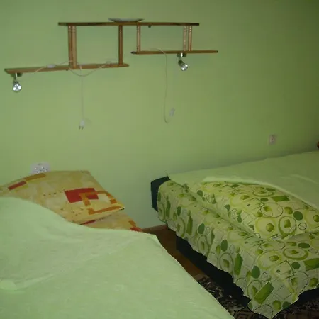 Pensionat Nada Soko Banja